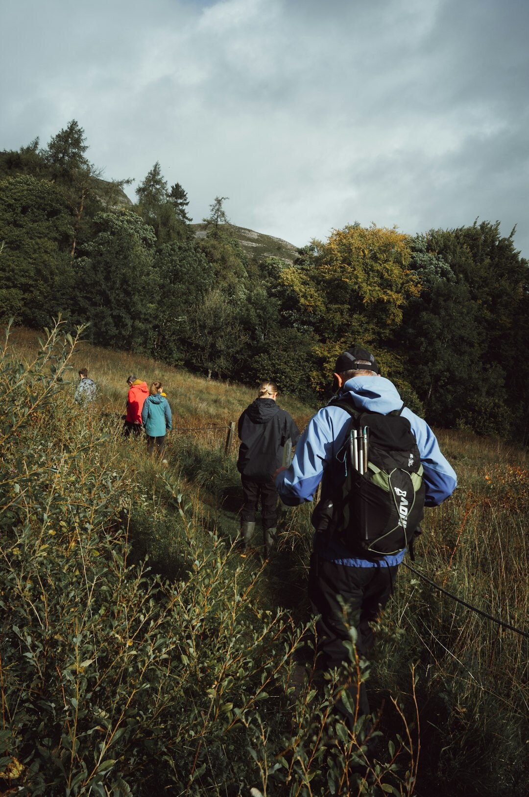 Senior hiking group walking on a mountain trail
