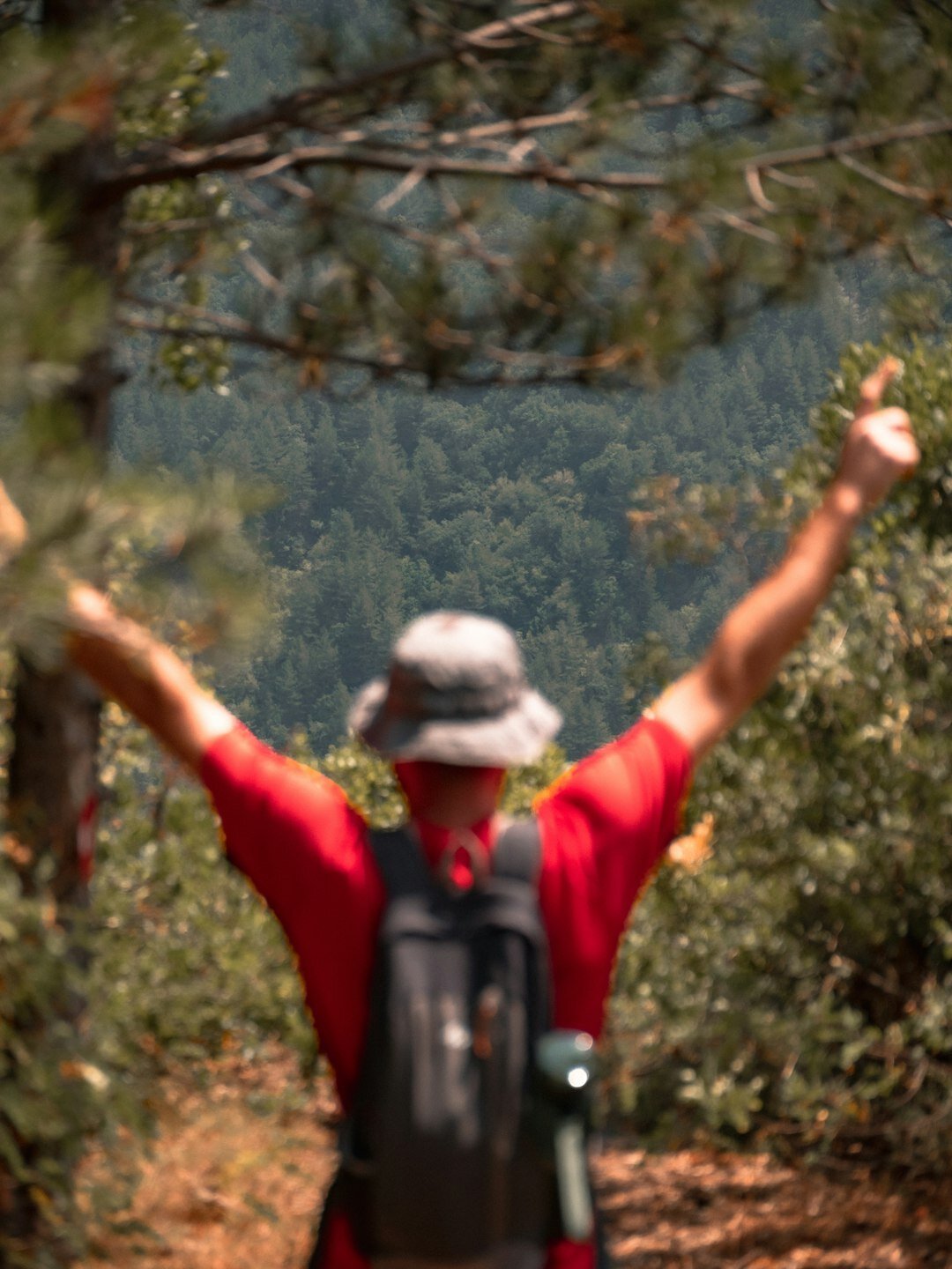 elderly hiking in nature